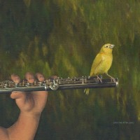 Flute Bird Flute Bird