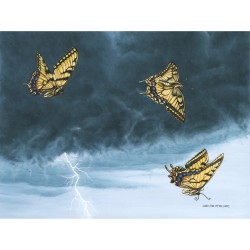 Storm Flight